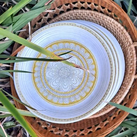 Franciscan Earthenware Stoneware 6 Dinner Plates - Picture 2 of 4